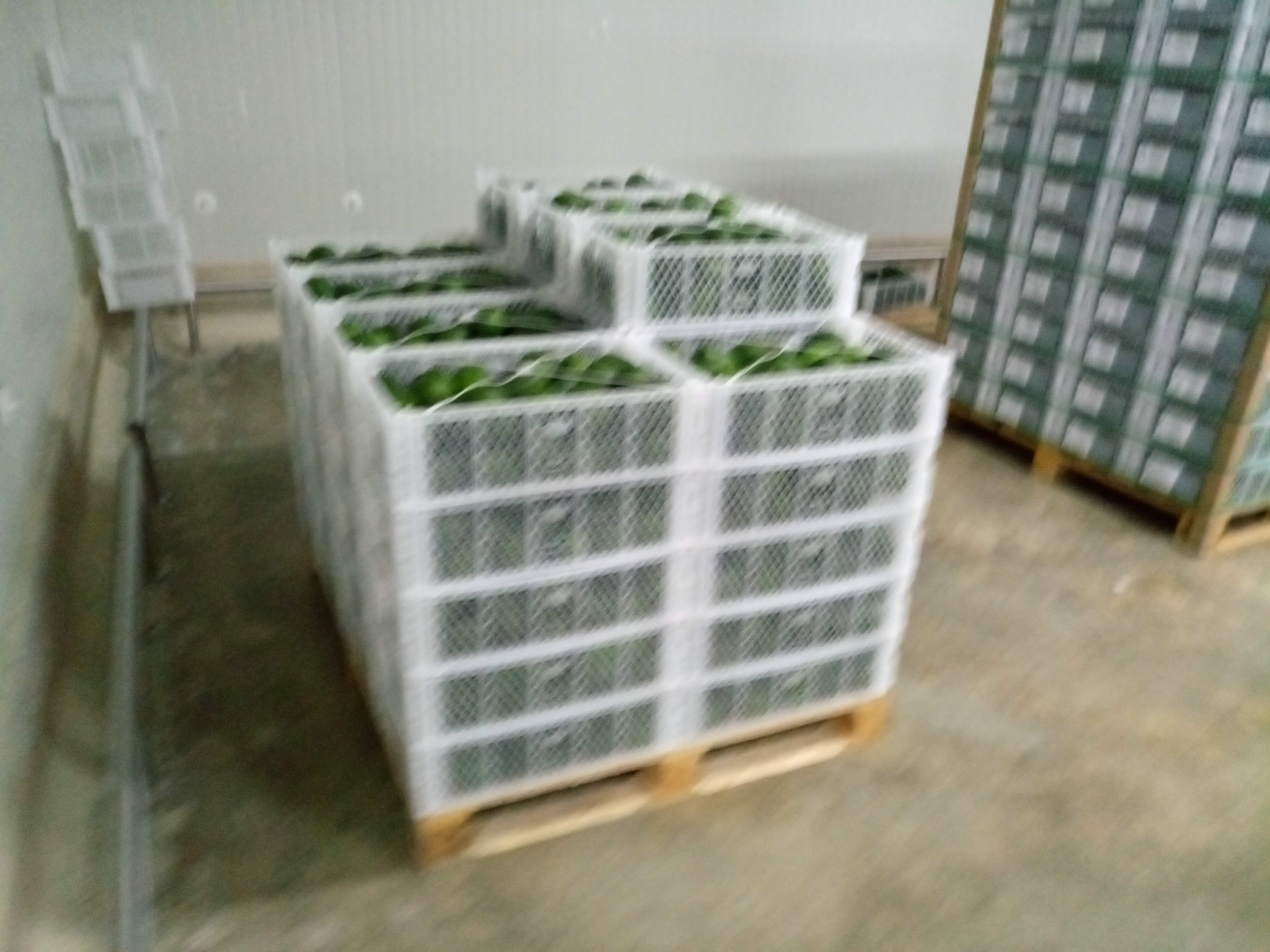 Fruta fresca Dorado División